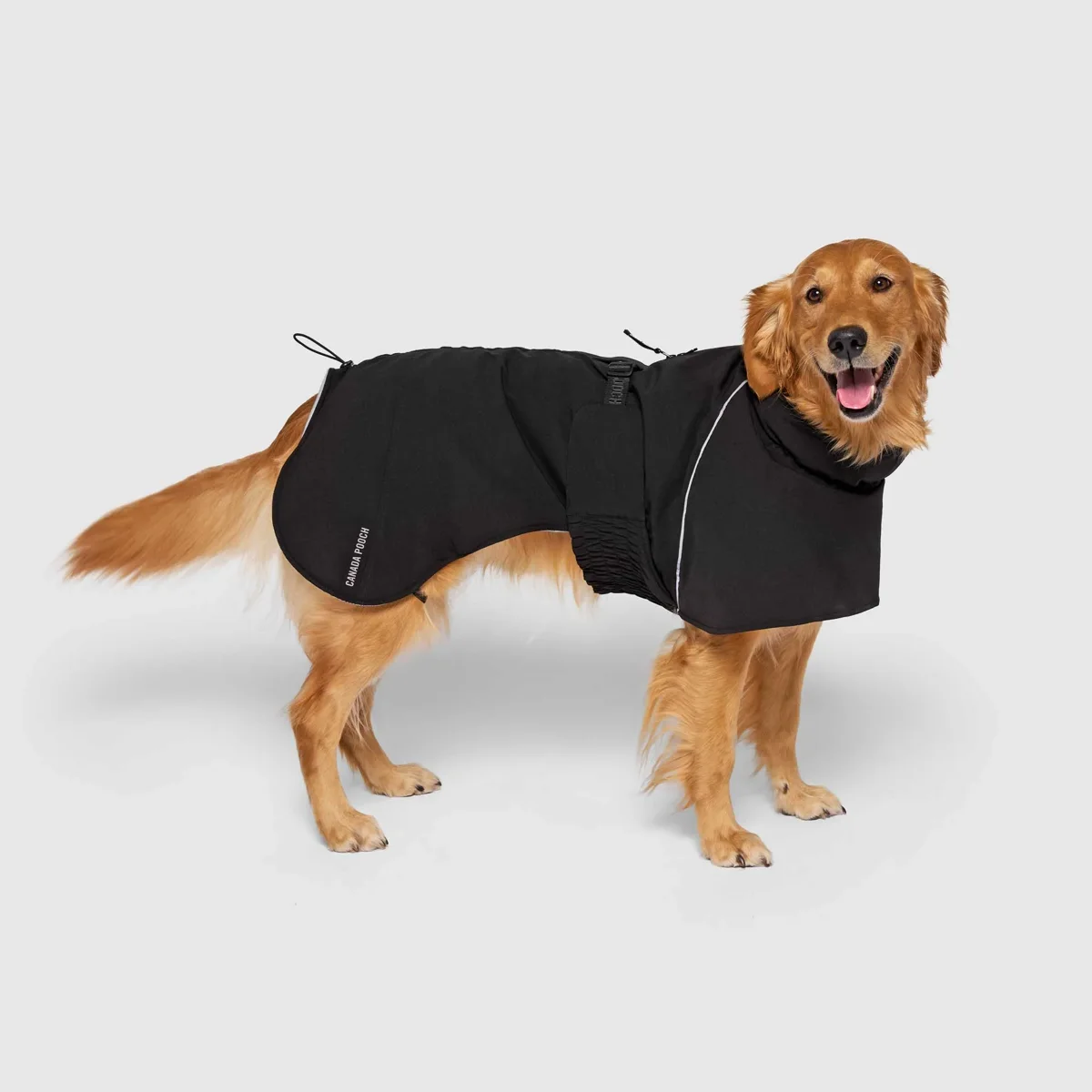 Complete Coverage Winter Coat official product image