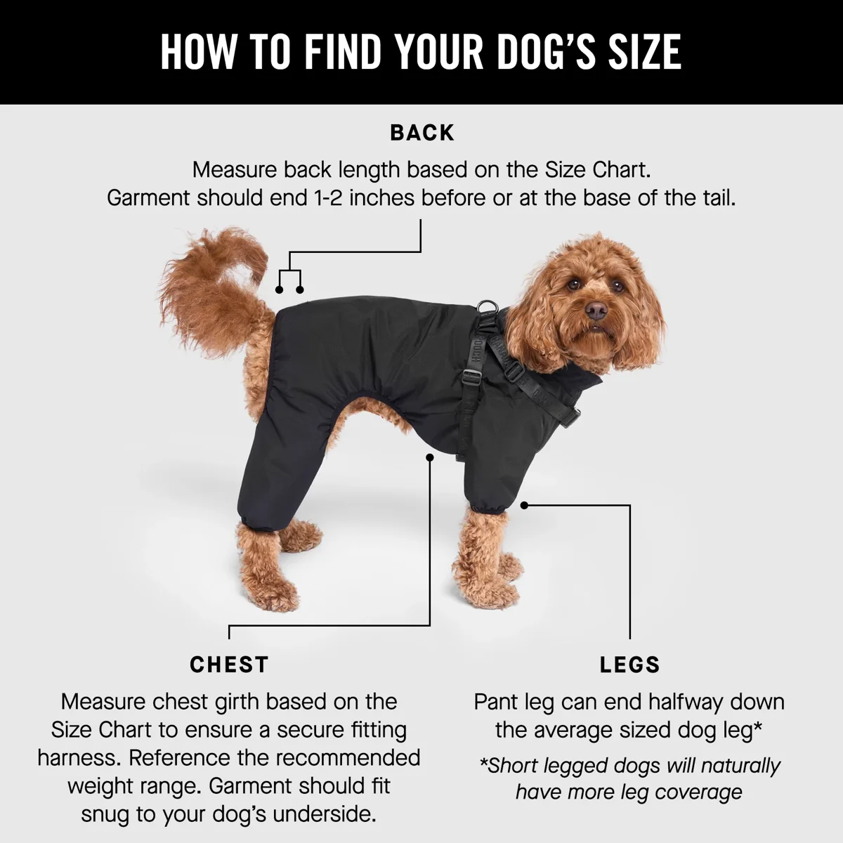 Harness Snow Suit official product image