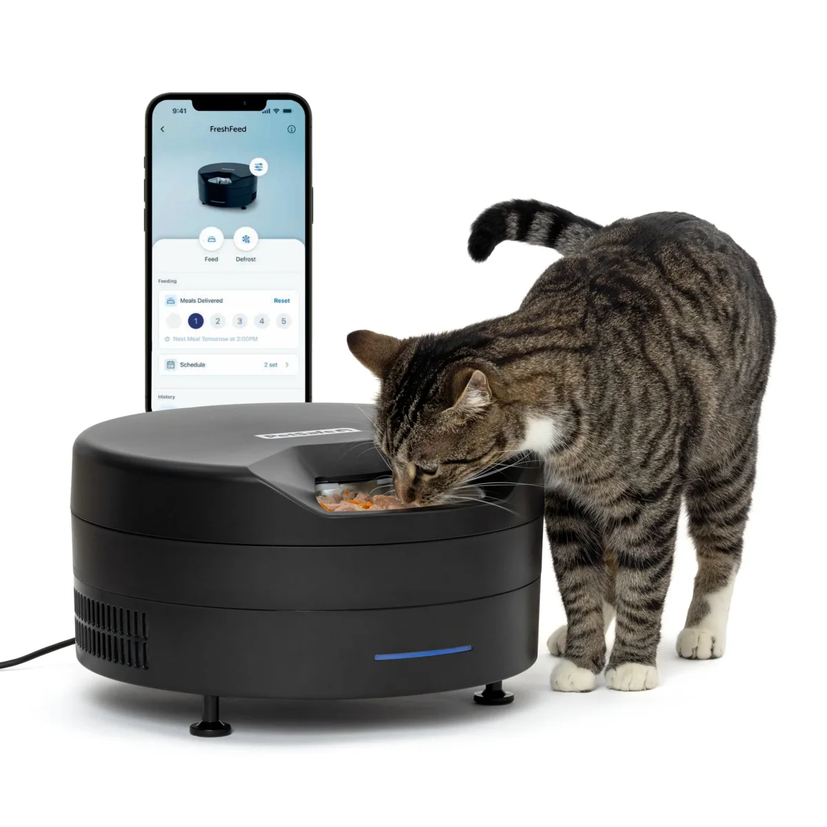 FreshFeed Refrigerated Pet Feeder official product image