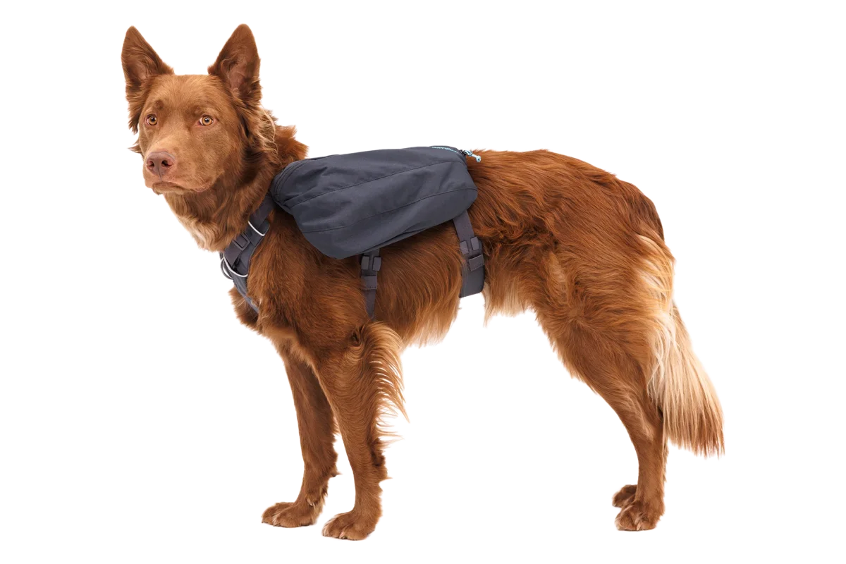 Front Range® Day Pack official product image