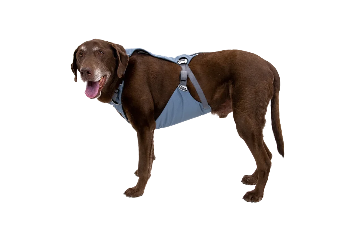 Load Up™ Dog Car Harness official product image