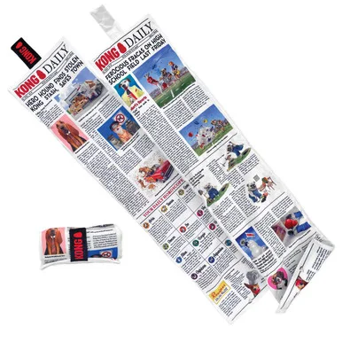 KONG Daily product image