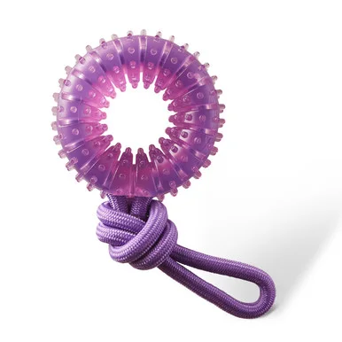 2-in-1 Dental Chew Wheel Dog Chew Toy and Tug Toy, Purple product image