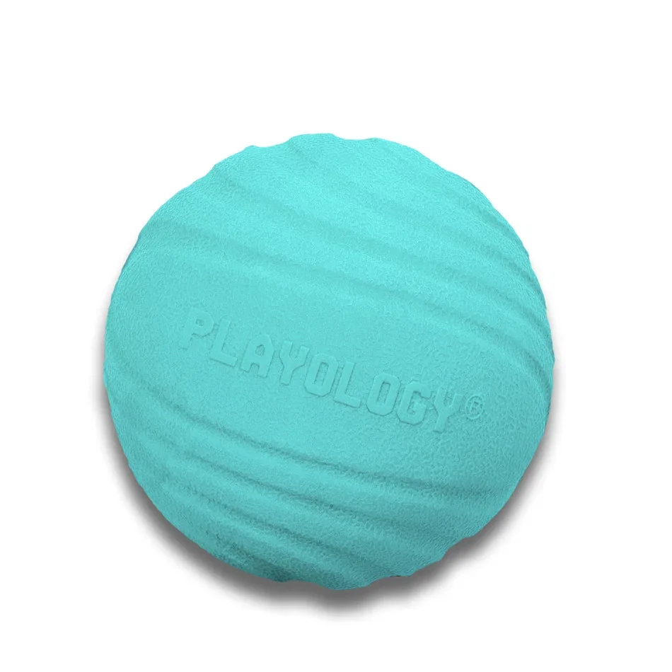 Dual Layer Ball product image
