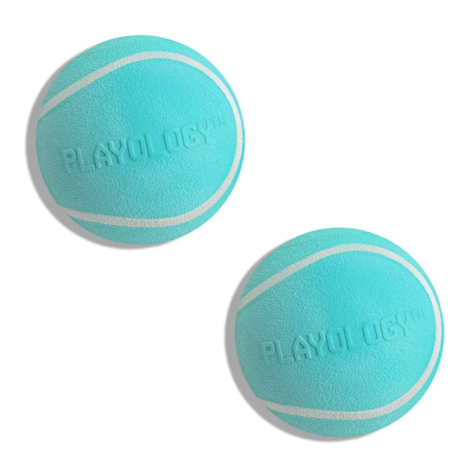 Squeaky Chew Ball 2-Pack - Medium product image