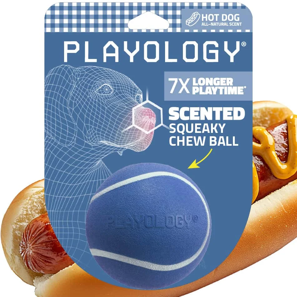 Squeaky Chew Ball | Hot Dog product image