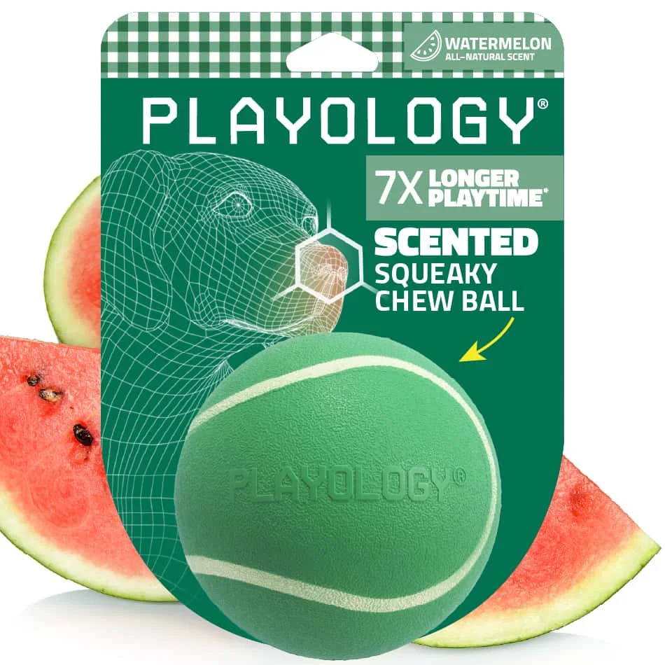 Squeaky Chew Ball | Watermelon product image