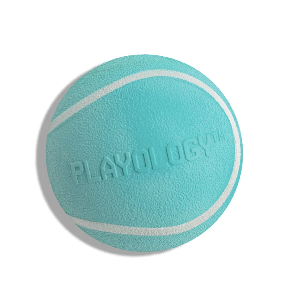 Squeaky Chew Ball product image